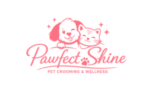 pawfectshine.com